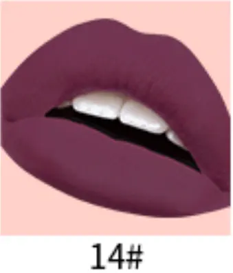 BIBICC Hot Sale 24 Hours Long Lasting Non Stick Cup Waterproof Matte Liquid Lipstick